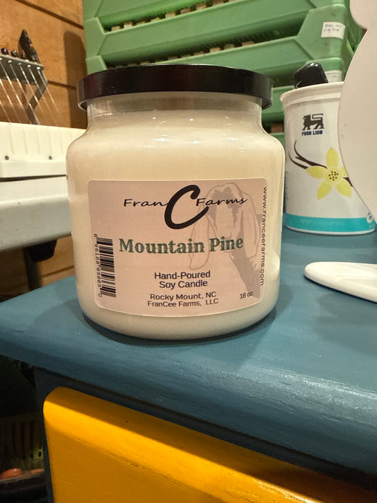 Mountain Pine Soy Candle - 18 oz. Apothecary Jar product image 2 from FRAN C FARMS