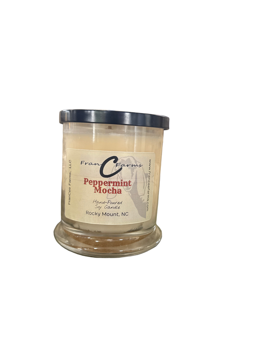 Peppermint Mocha Soy Candle (12/S)