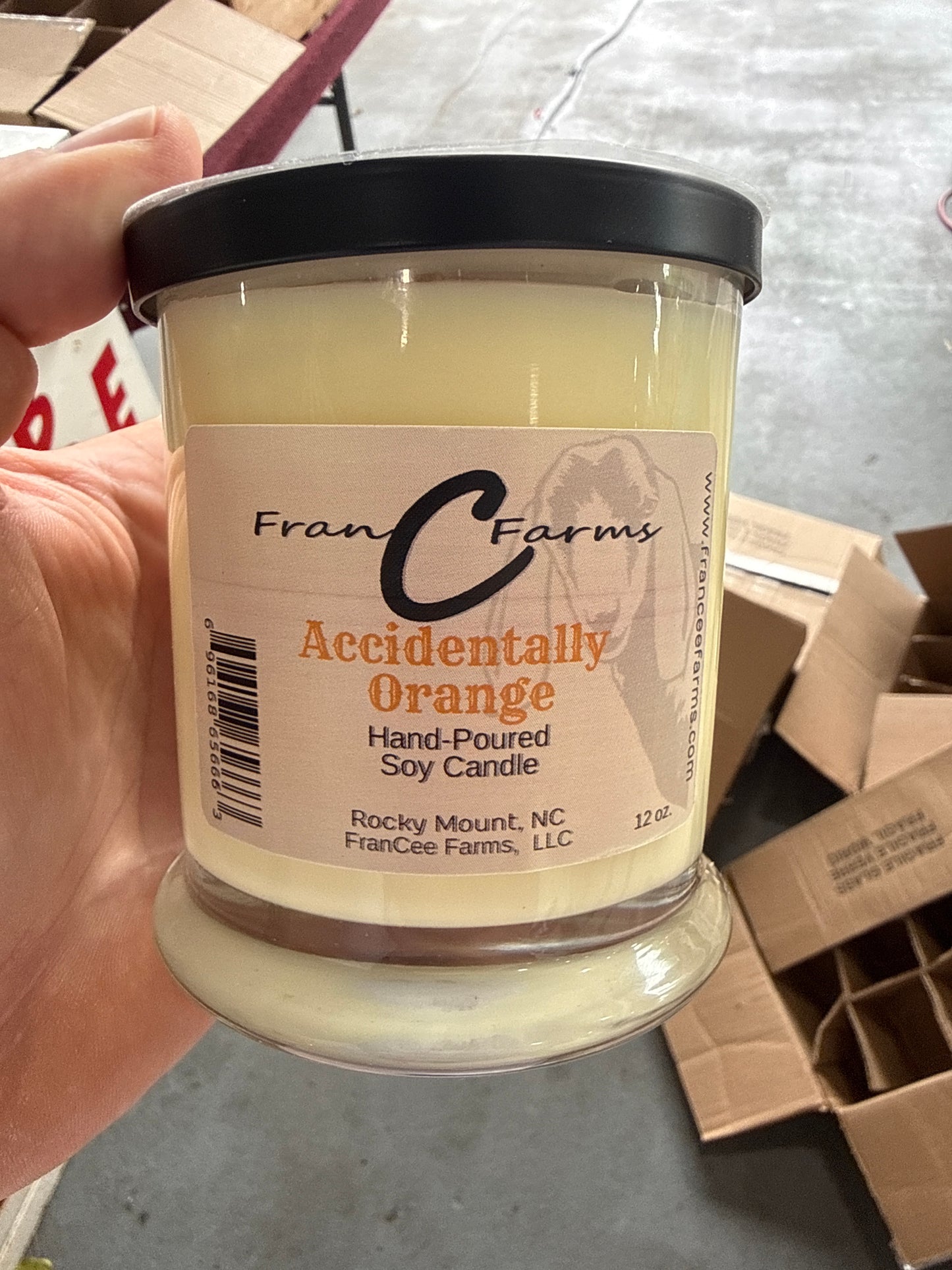 Accidentally Orange Candle (12/S)