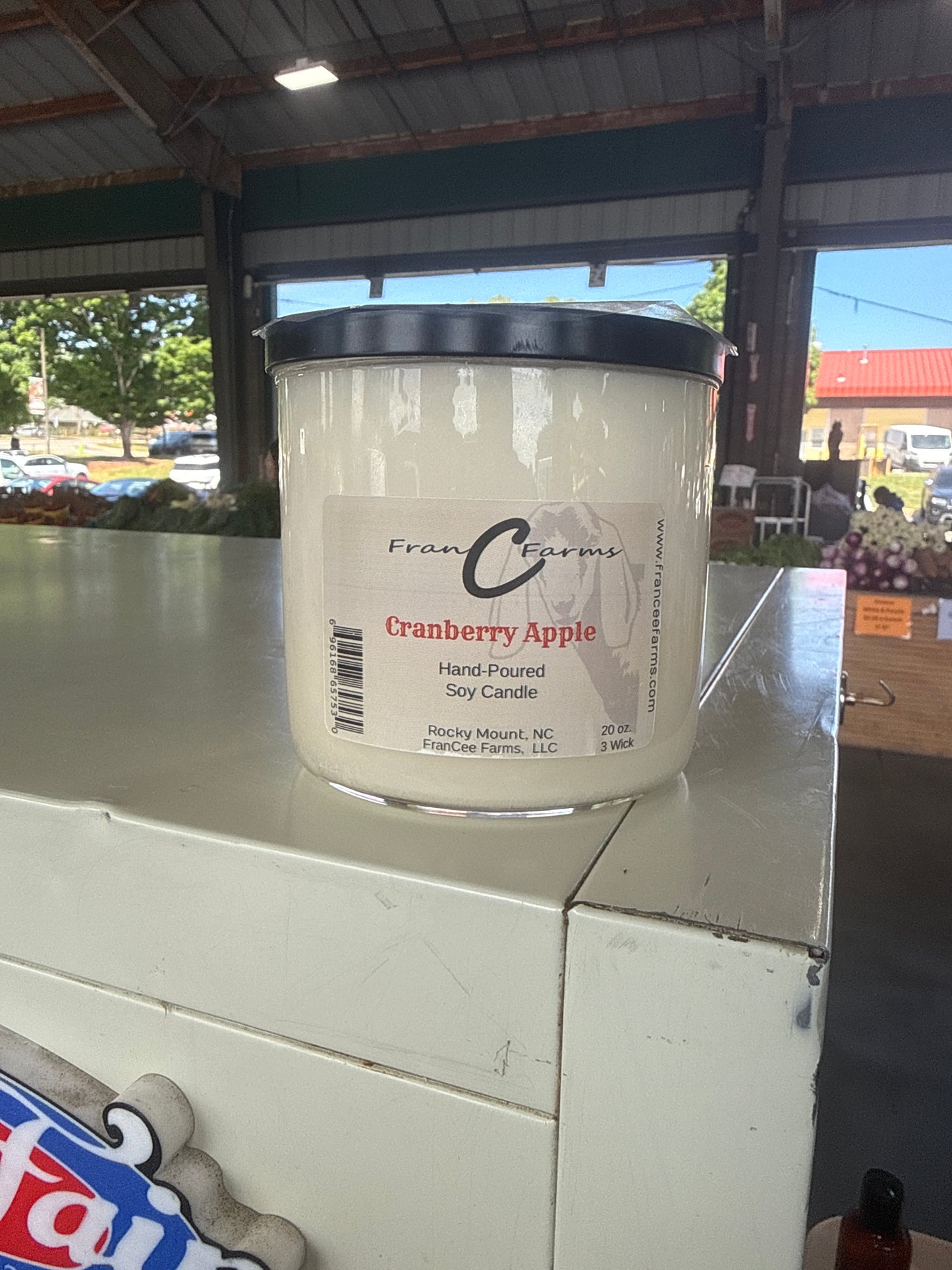 Cranberry Apple 3-Wick Candle