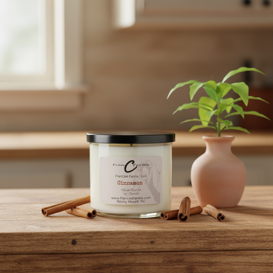 Cinnamon stick soy candle displayed on a wooden counter with cinnamon sticks and a plant.