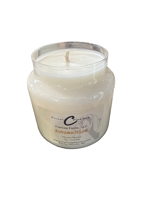 Autumn Glow Soy Candle
