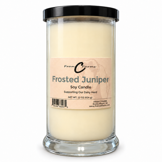 Frosted Juniper Soy Candle - 22 oz. Status Jar