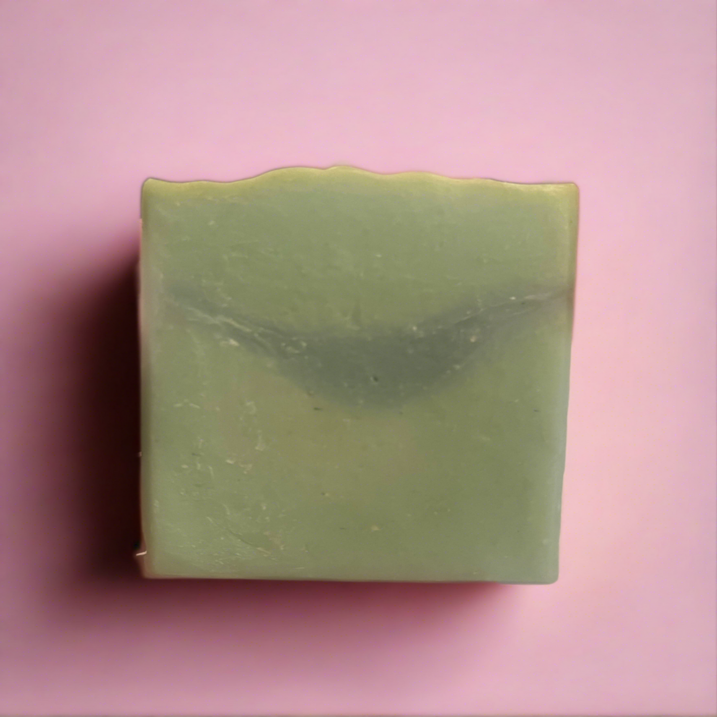 Black Moss & Coral Goat Milk Soap