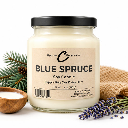 Blue Spruce Apothecary Candle