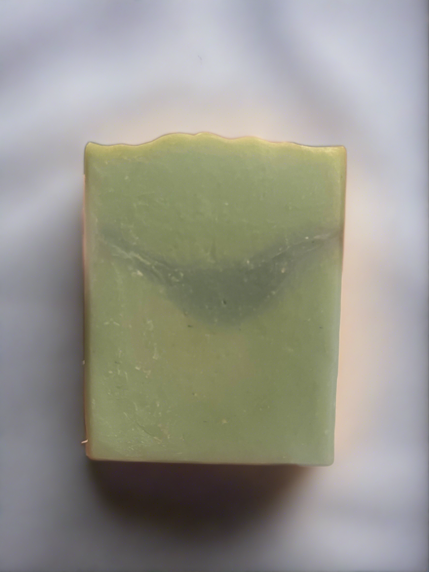 Black Moss & Coral Goat Milk Soap