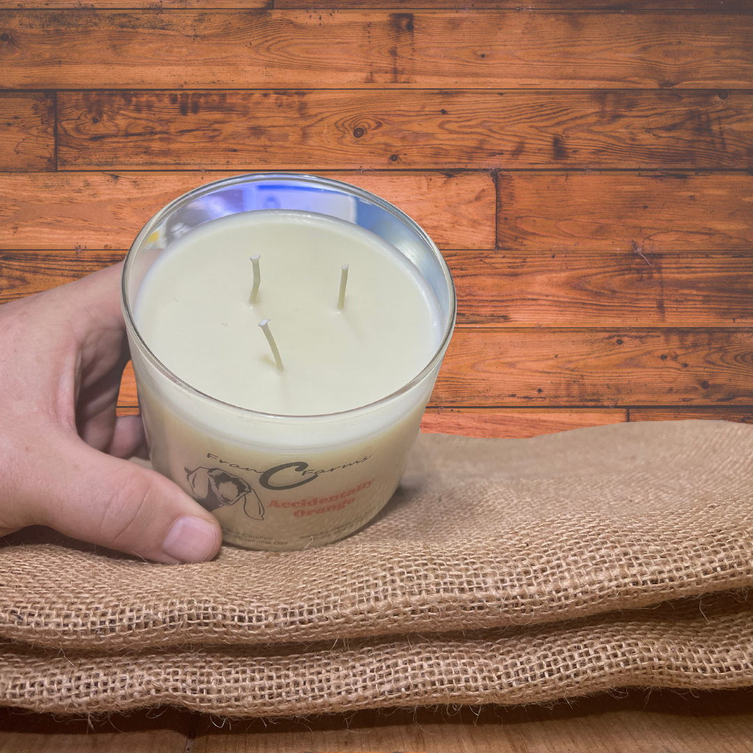 Accidentally Orange 3-Wick Candle