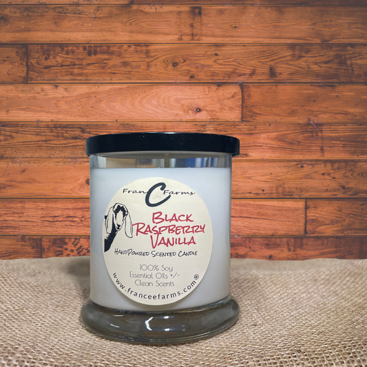 Black Raspberry Vanilla Candle (12/S)