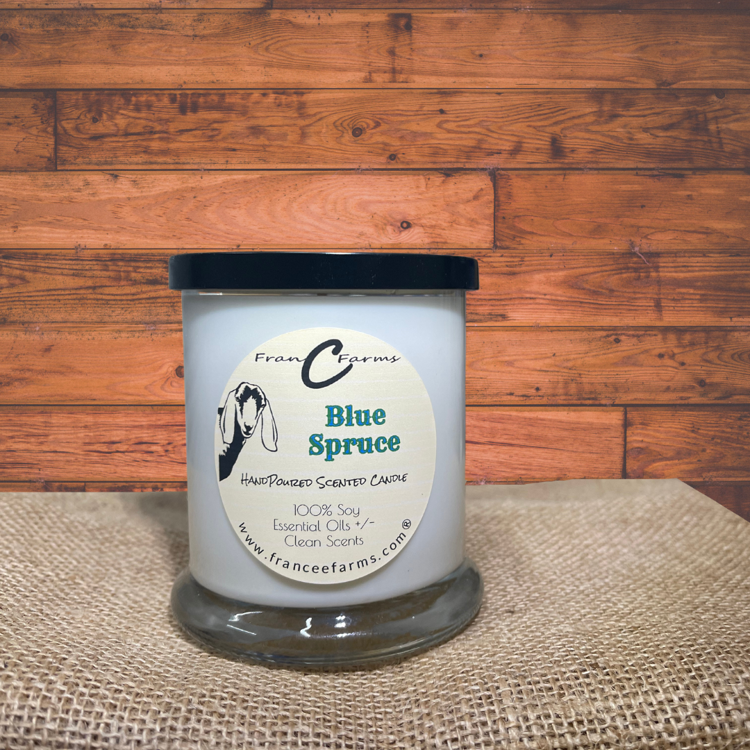 Blue Spruce Candle Tin