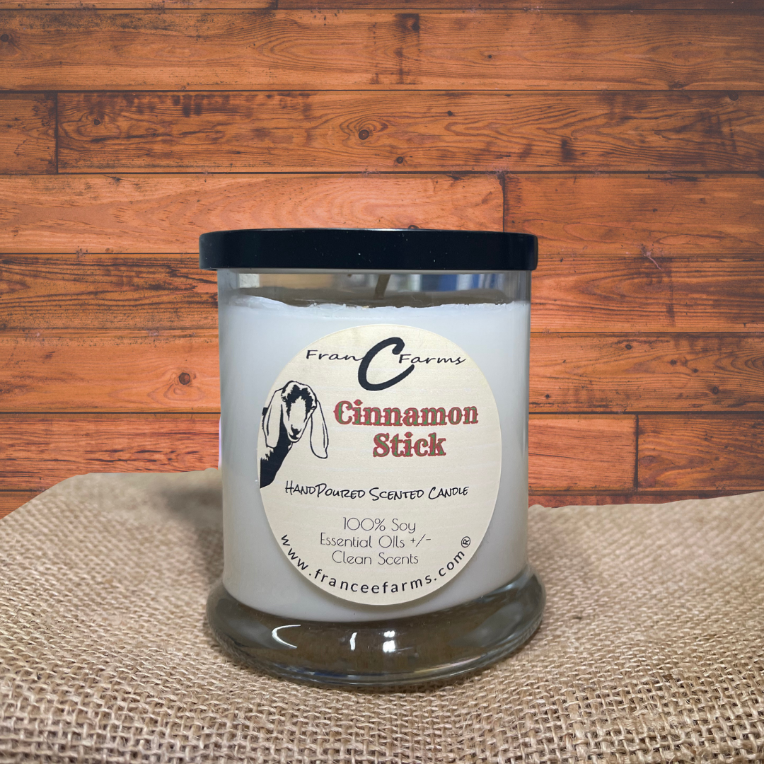 Cinnamon Stick Candle (12/S)