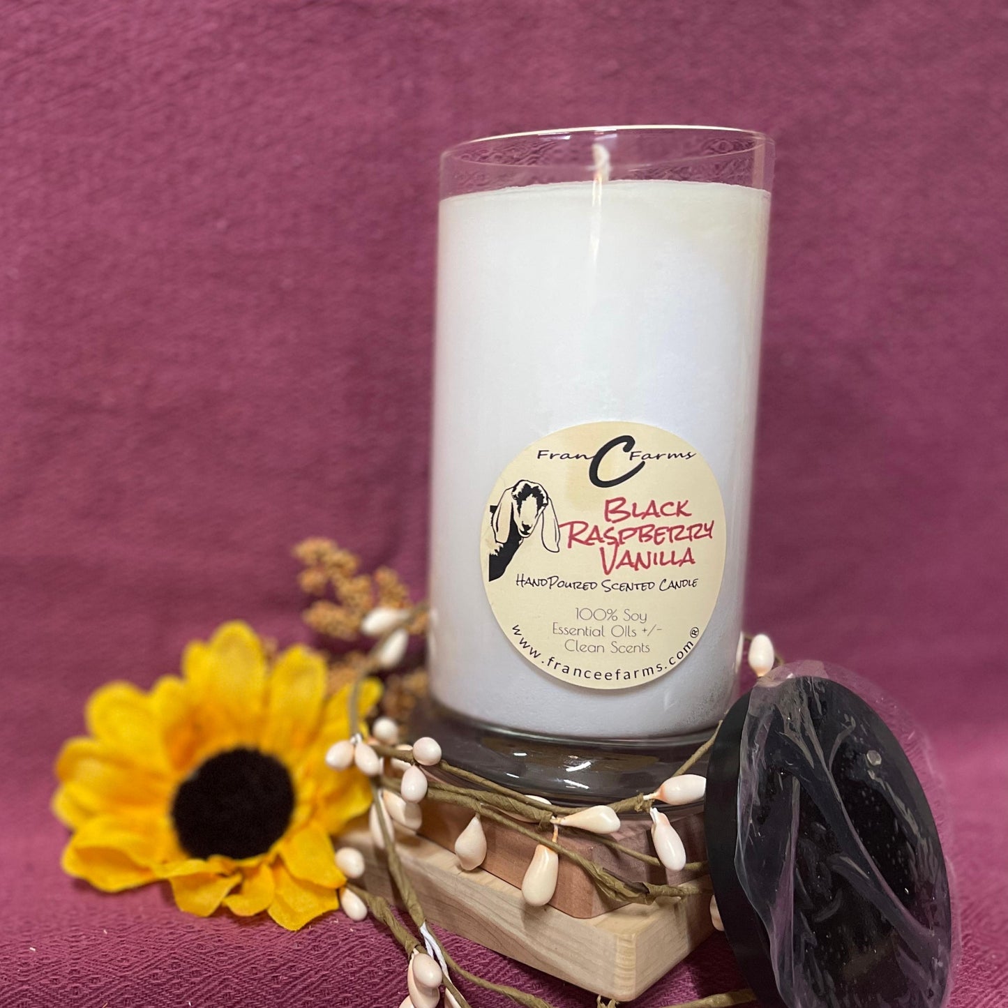 Black Raspberry Vanilla Candle (21/S)