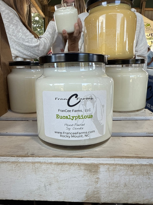 Eucalyptious Apothecary Soy Candle