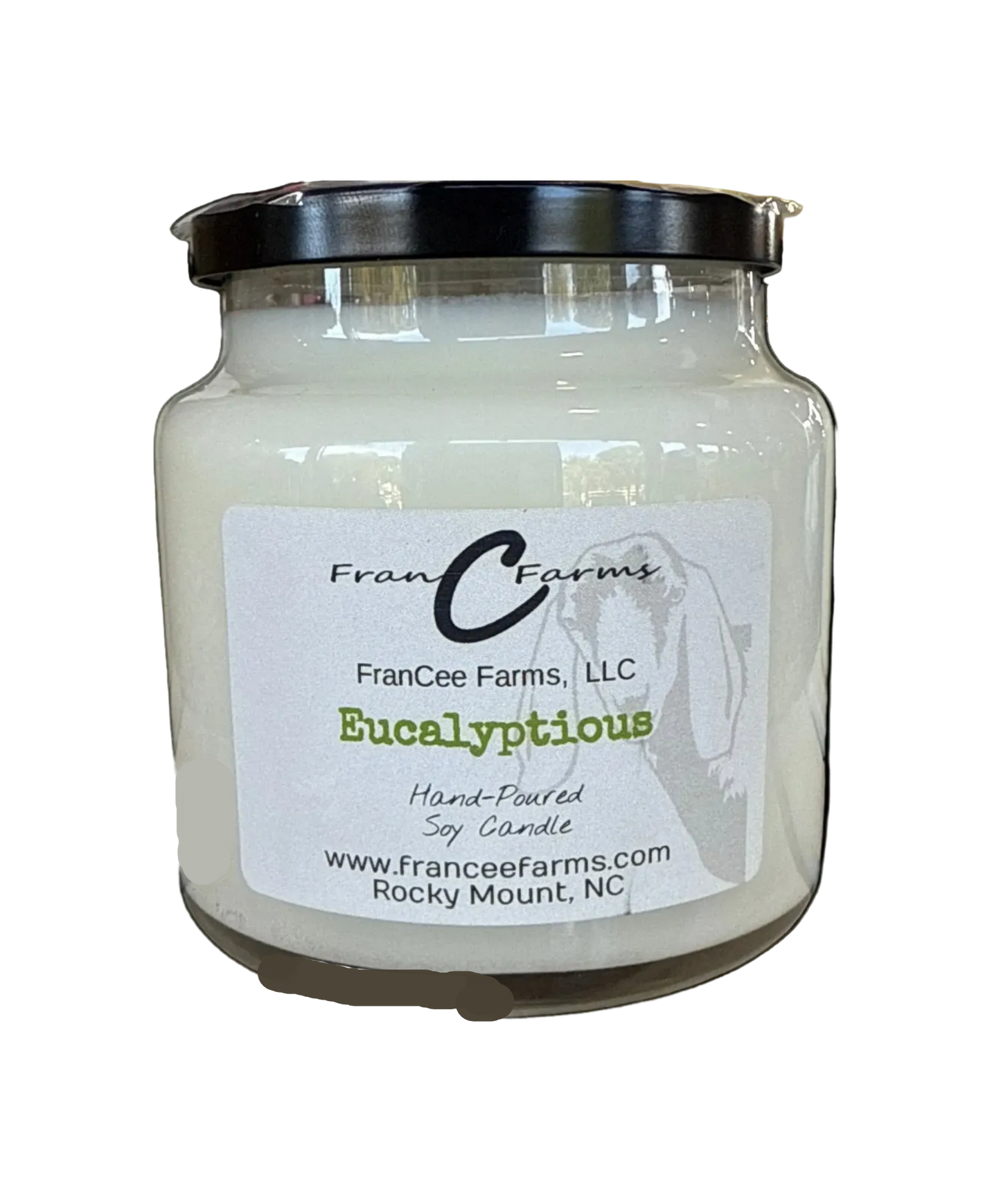 Eucalyptious Apothecary Soy Candle