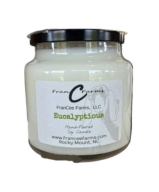 Eucalyptious Apothecary Soy Candle