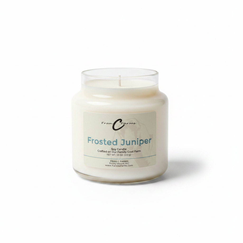 Frosted Juniper Soy Candle - 18 oz. Apothecary Jar