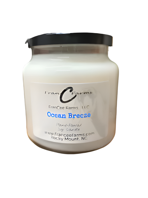 Natural Soy Ocean Breeze Apothecary Candle