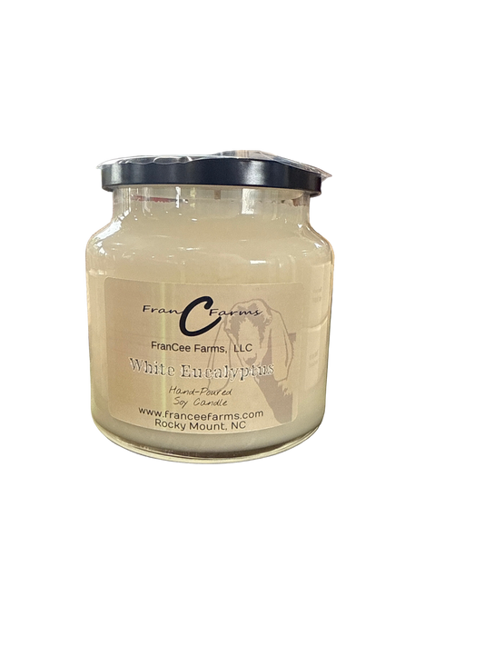 White Eucalyptus Apothecary Candle
