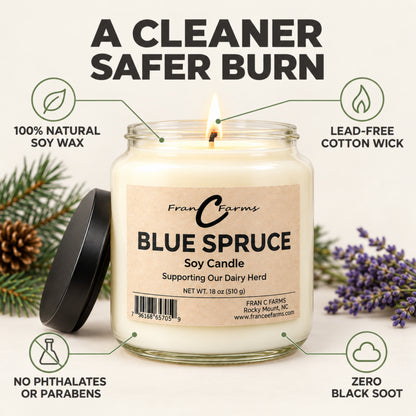 Blue Spruce Apothecary Candle