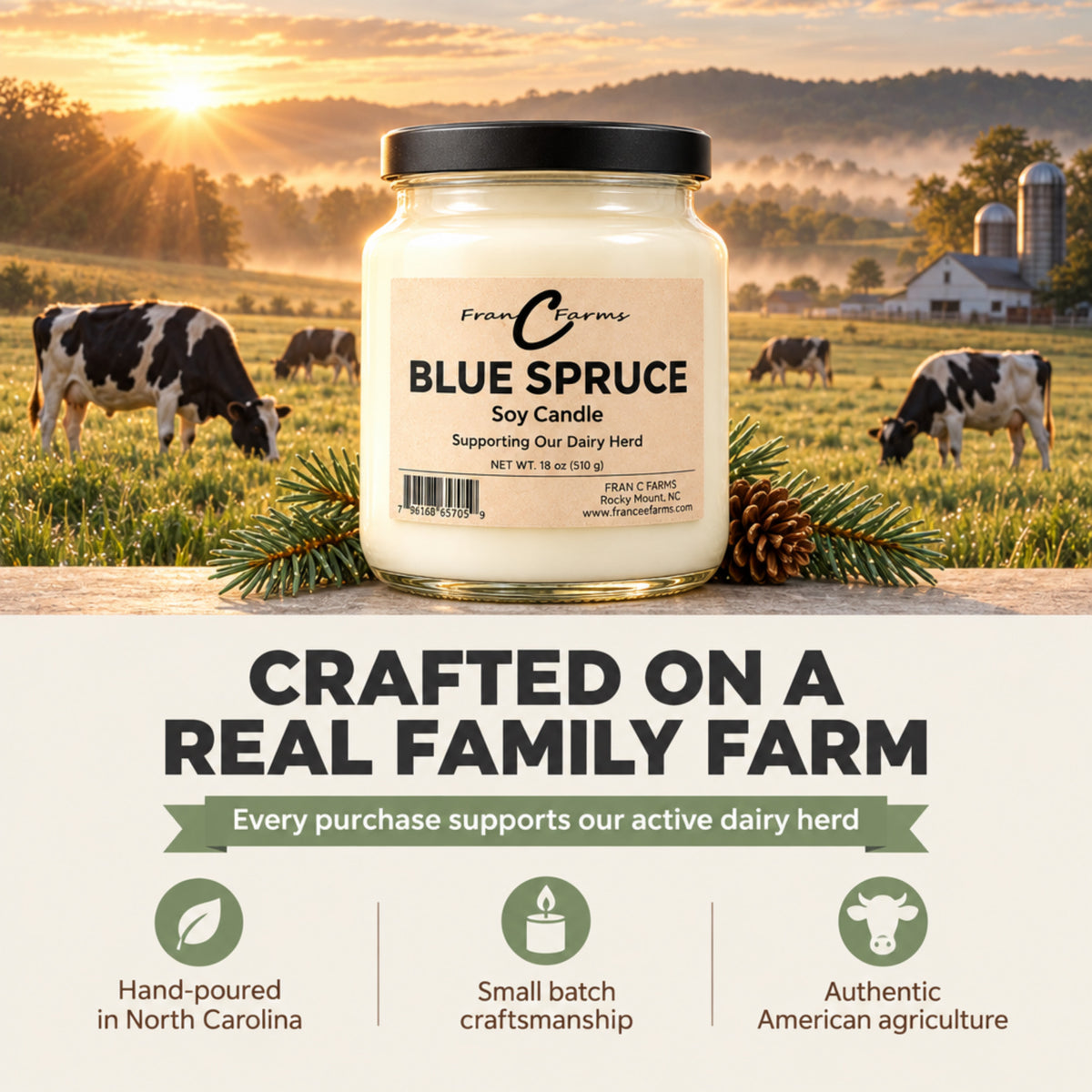Blue Spruce Apothecary Candle