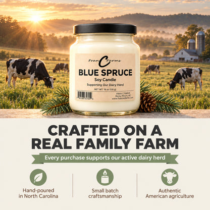 Blue Spruce Apothecary Candle
