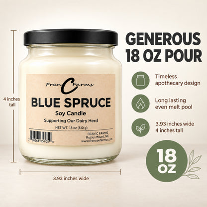 Blue Spruce Apothecary Candle