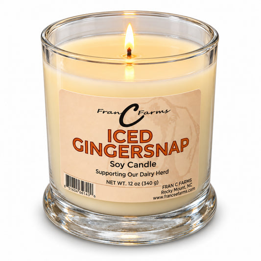 Lit Iced Gingersnap Soy Candle in a 12 oz Status Jar on a white background