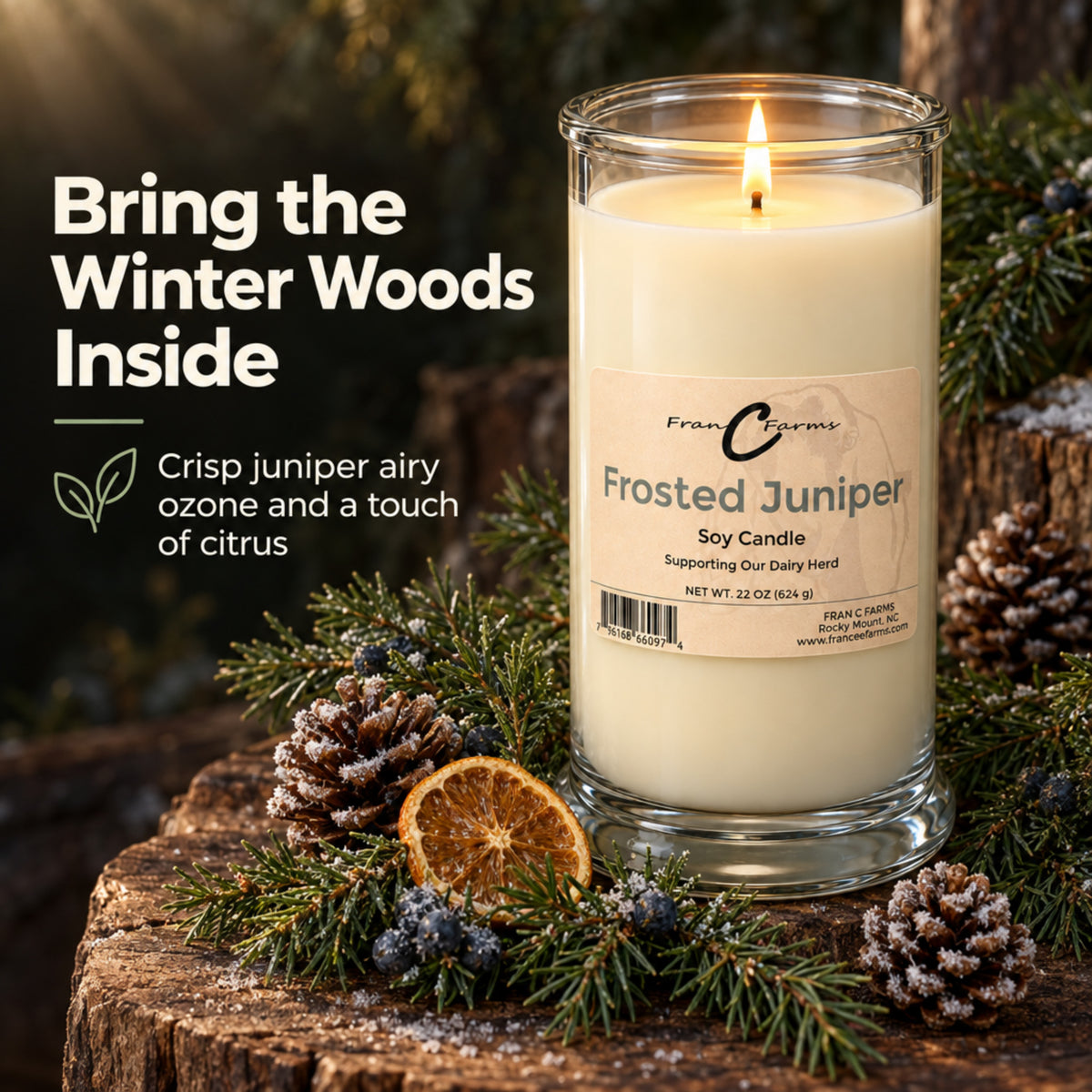 Frosted Juniper Soy Candle - 22 oz. Status Jar