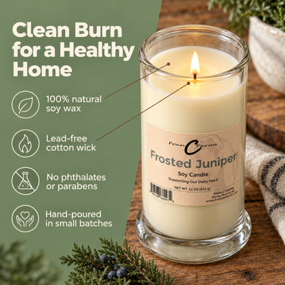 Frosted Juniper Soy Candle - 22 oz. Status Jar