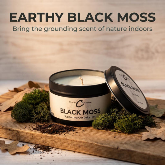 Black Moss Soy Candle - 8 oz Tin