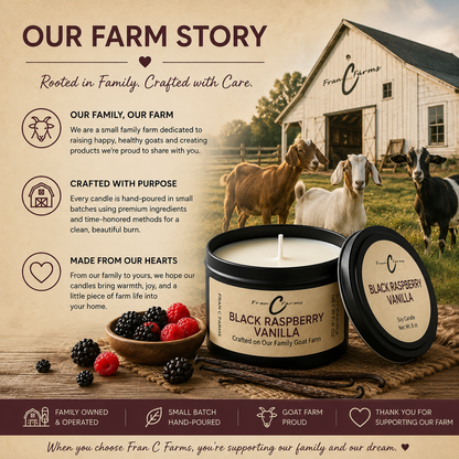 Black Raspberry Vanilla Soy Candle Tin - 8 oz