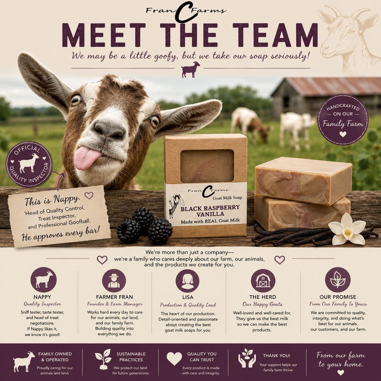Black Raspberry Vanilla Goat Milk Soap - Made From REAL Goat Milk