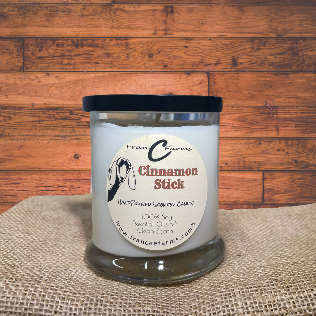 Cinnamon Stick Apothecary Candle