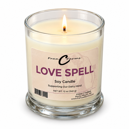 Love Spell Soy Candle - 12 oz. Status Jar