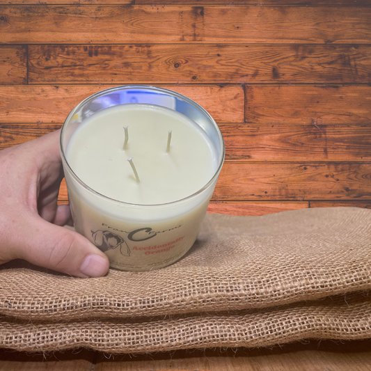 Accidentally Orange 3-Wick Candle product image 2 from FRAN C FARMS
