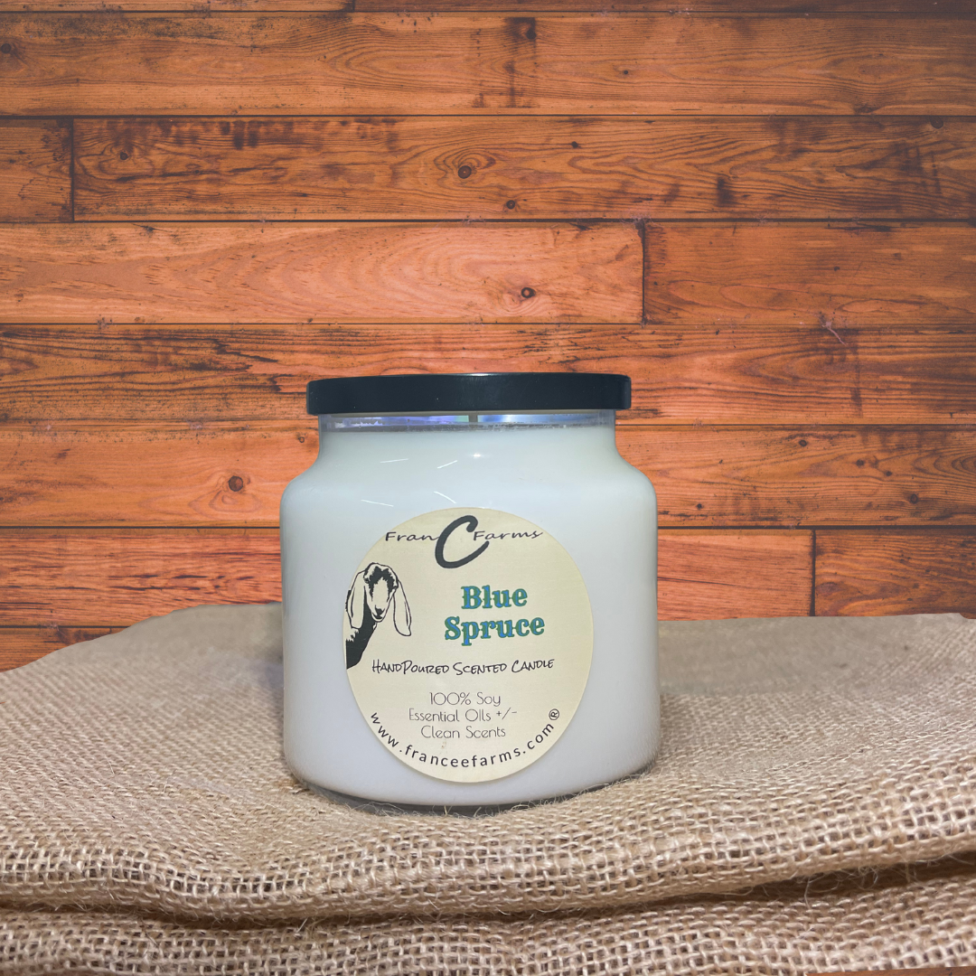 Blue Spruce Apothecary Candle