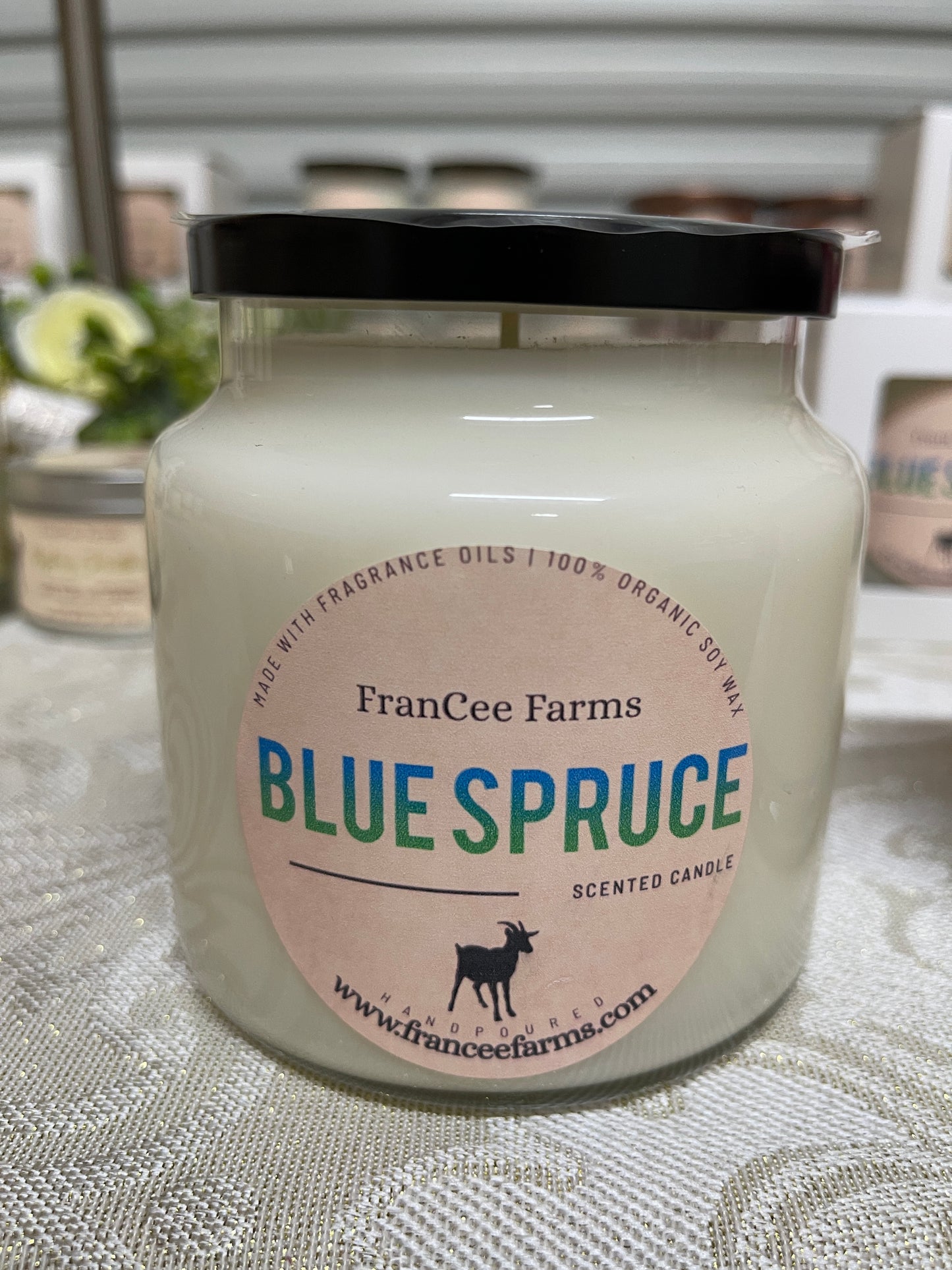 Blue Spruce Apothecary Candle