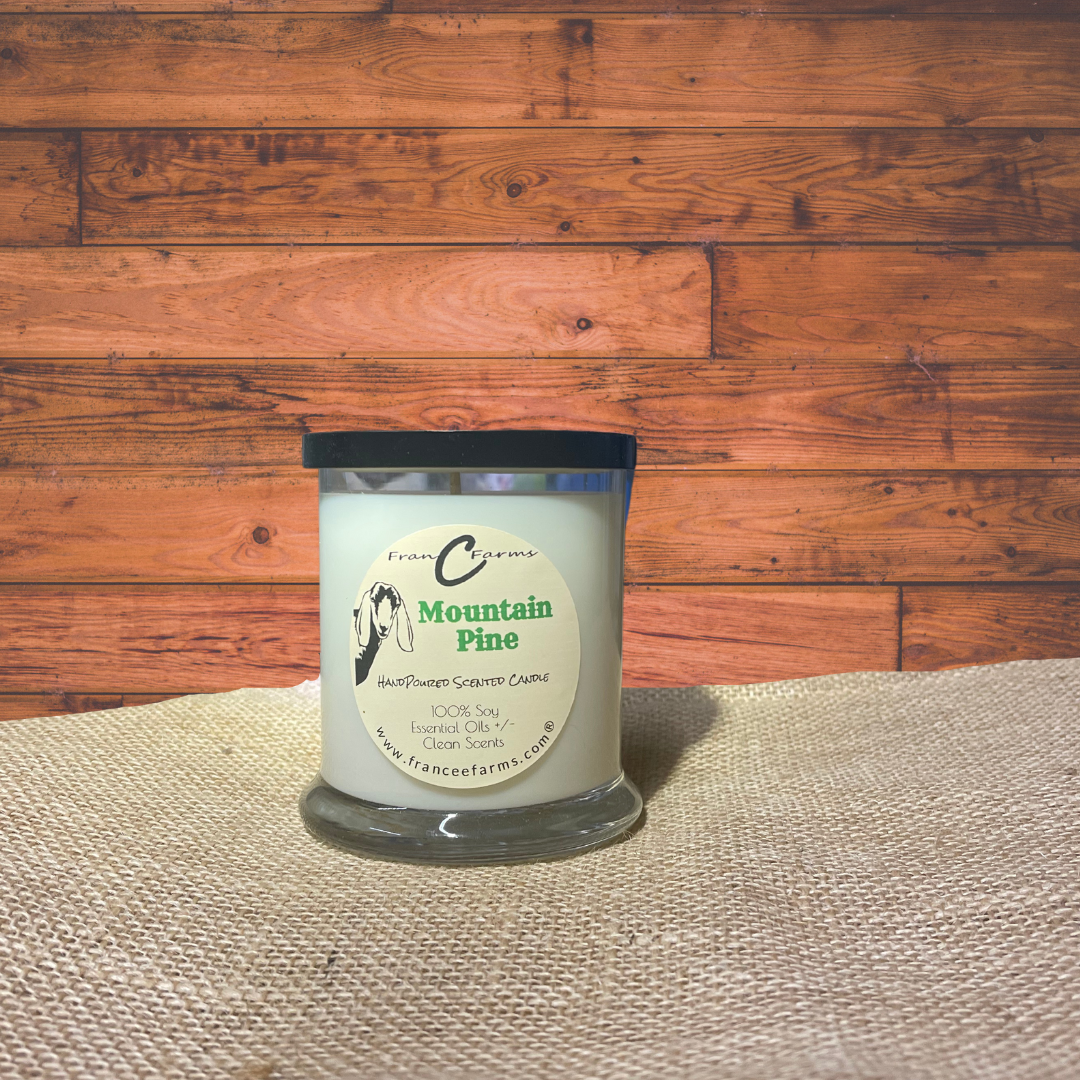 Mountain Pine  Candle (12/S)