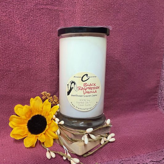 Black Raspberry Vanilla Soy Candle - 22 oz. Status Jar product image 2 from FRAN C FARMS
