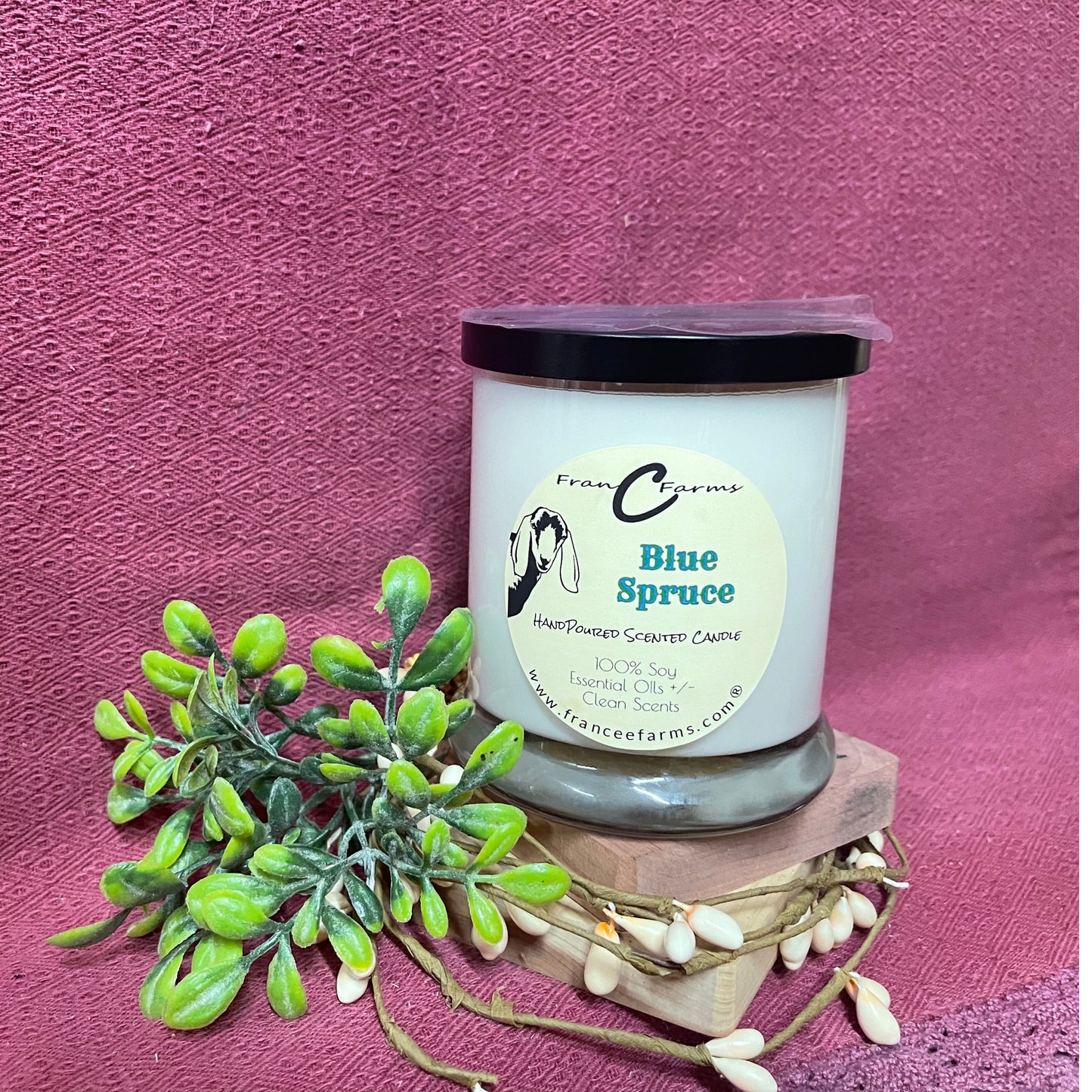 Blue Spruce Candle (12/S)